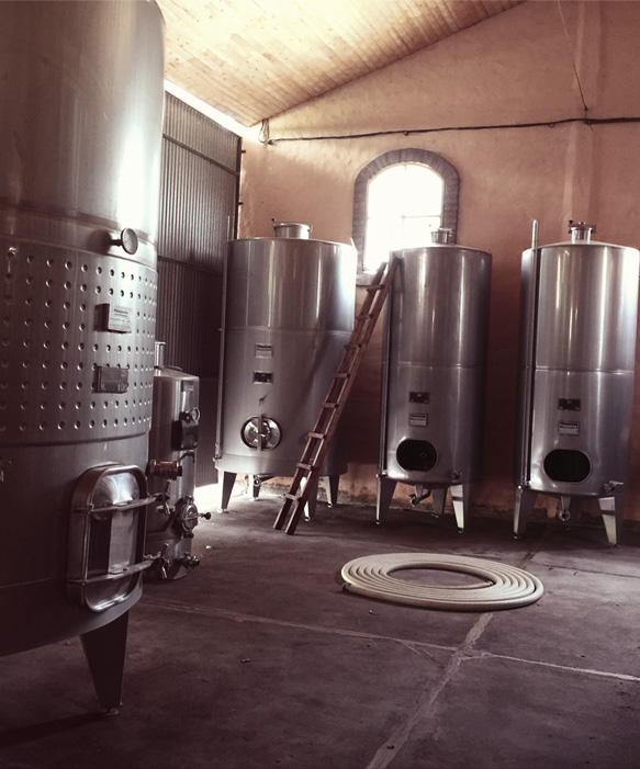 toneles-vinos